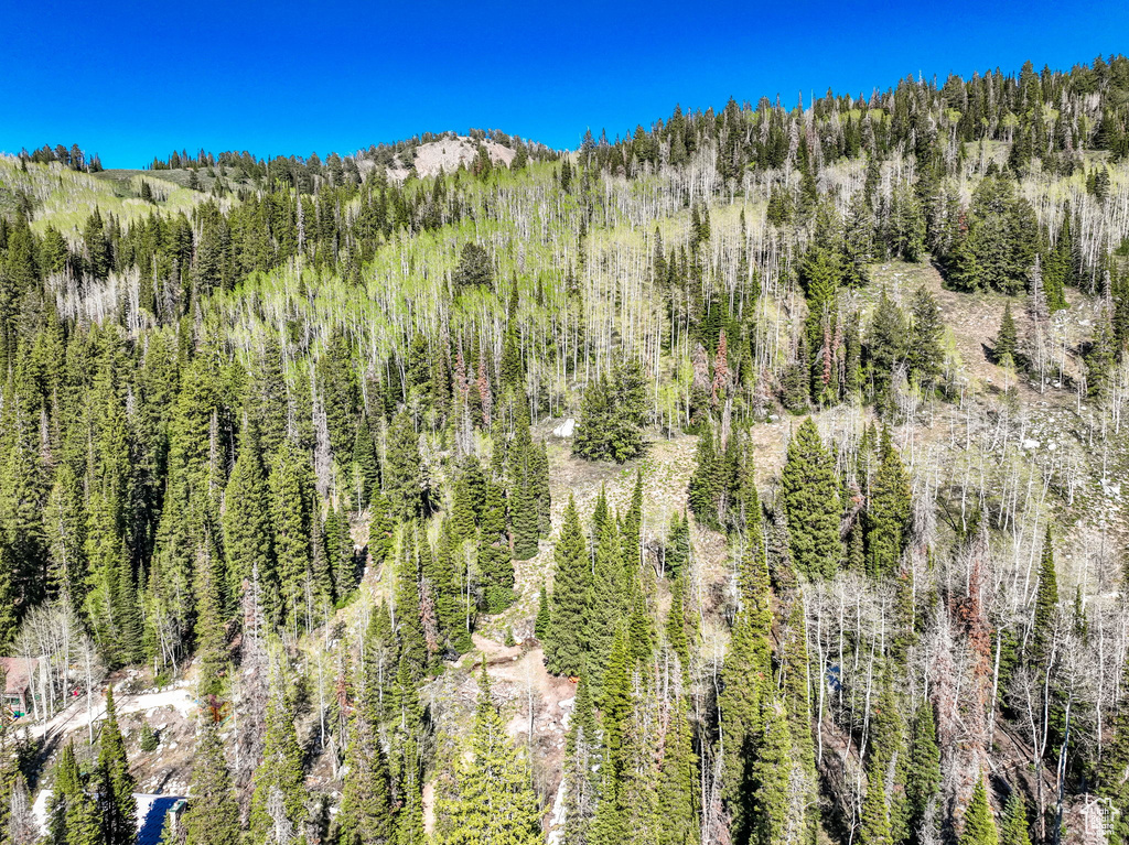 Mountain view featuring a forest