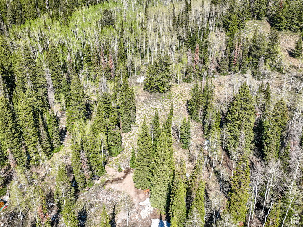 Bird\\\'s eye view