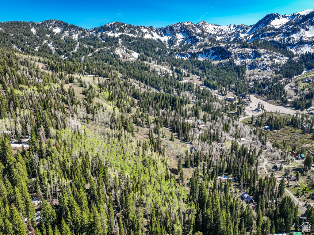 Mountain view featuring a heavily wooded area