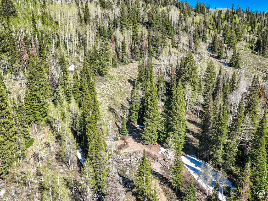 Aerial view of a forest