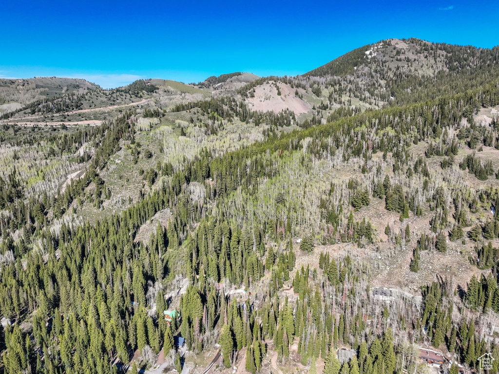 Mountain view with a heavily wooded area