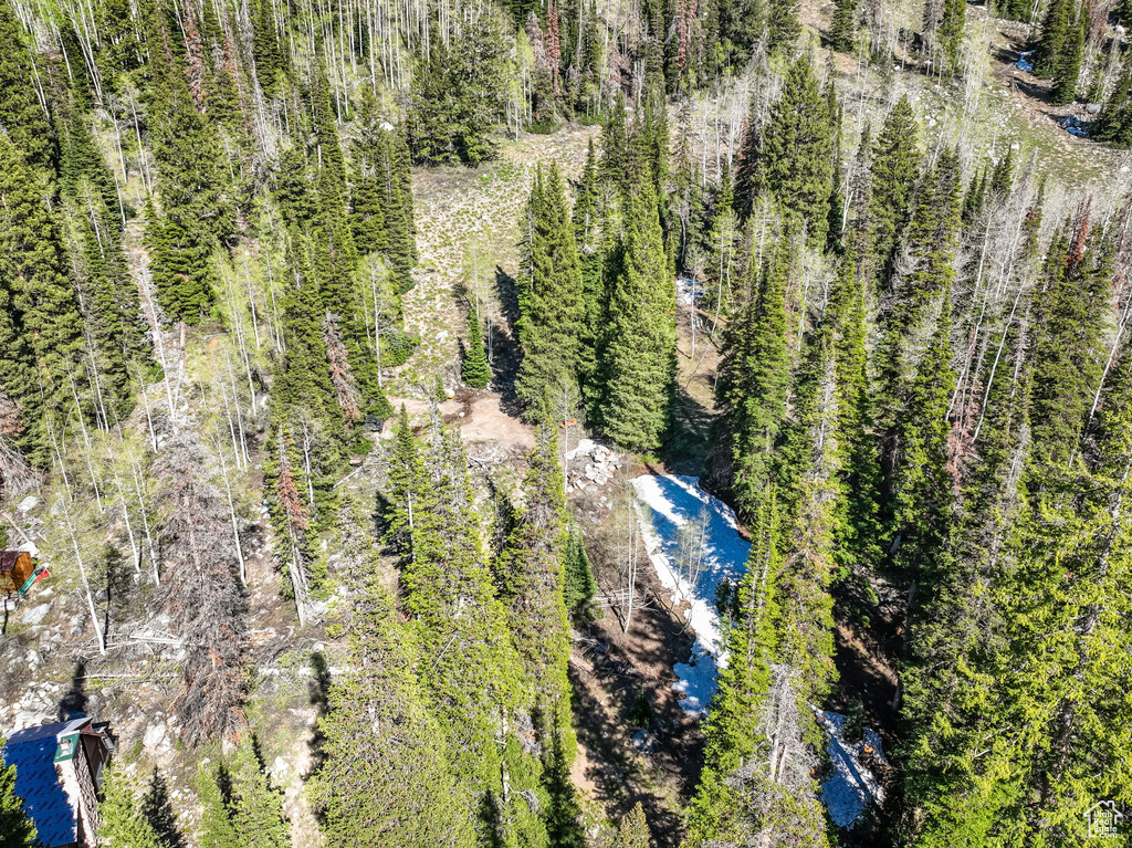 Bird\\\'s eye view