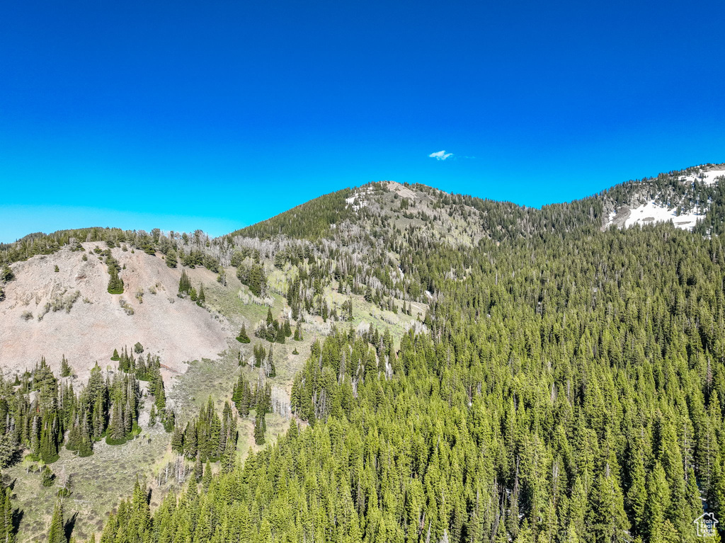 View of mountain background with a heavily wooded area