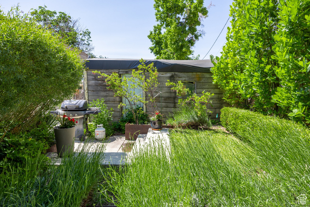 View of yard with a patio area
