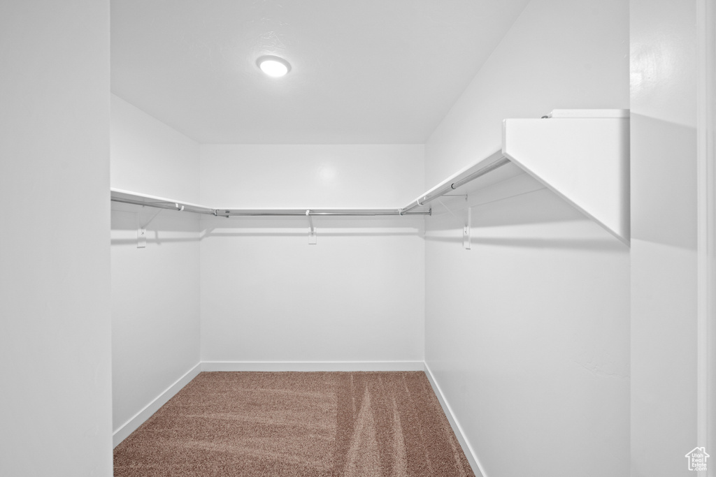 Spacious closet featuring carpet floors