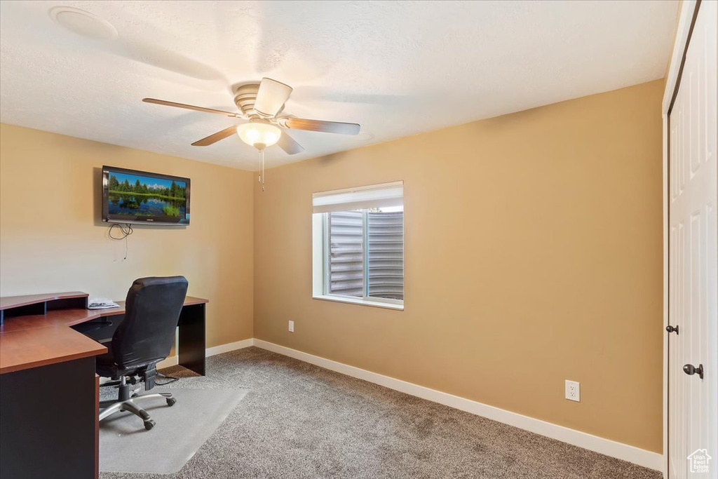 Office space featuring carpet flooring, baseboards, and a ceiling fan
