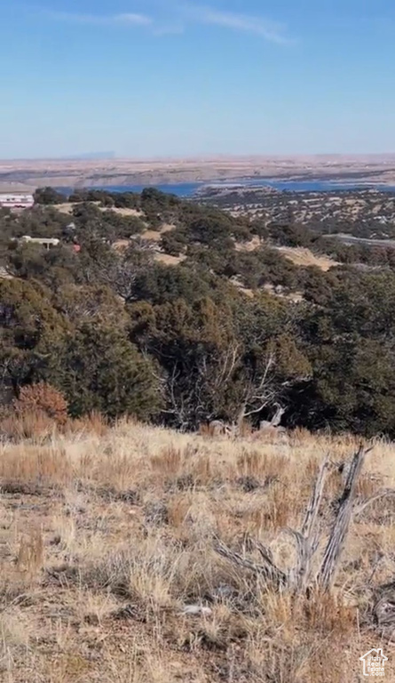 View of undeveloped land