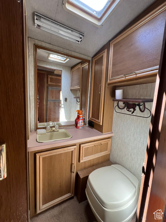 Bathroom featuring vanity and toilet