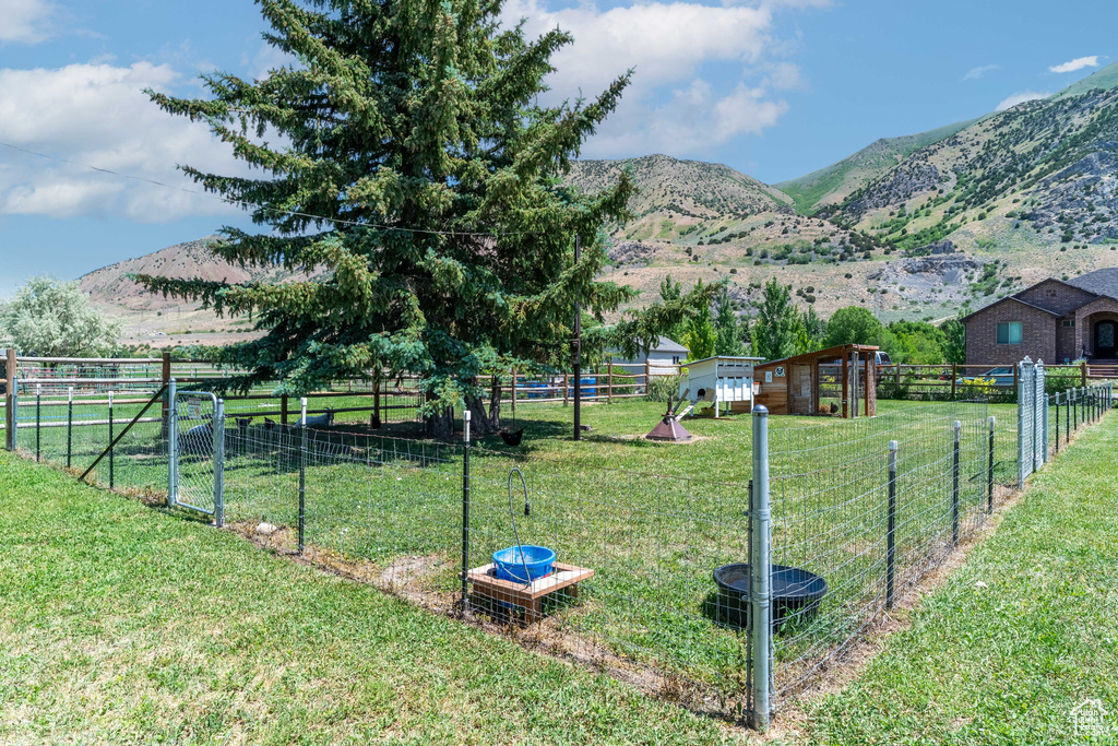 View of yard with a mountain view and a rural view