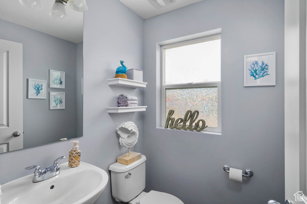 Half bathroom featuring a sink and toilet
