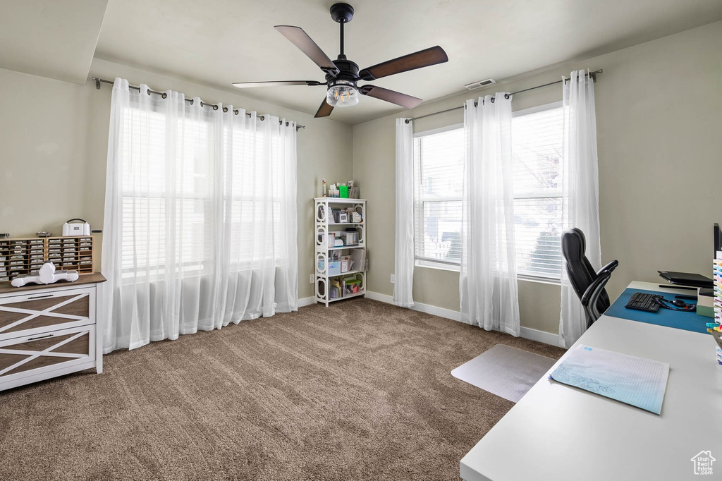 Office space with a ceiling fan, plenty of natural light, carpet floors, and baseboards