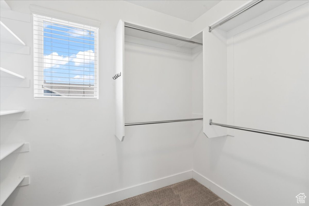 Spacious closet with carpet flooring