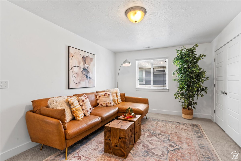 Living room featuring baseboards, light carpet, and a textured ceiling