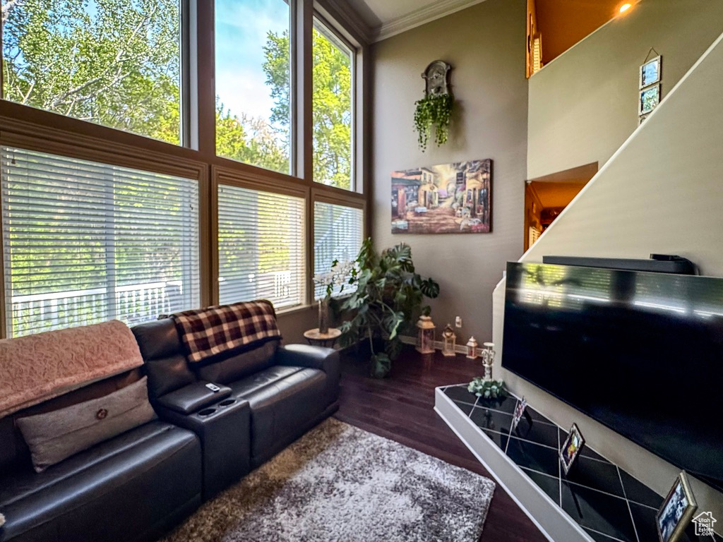Living area with crown molding, healthy amount of natural light, and wood finished floors