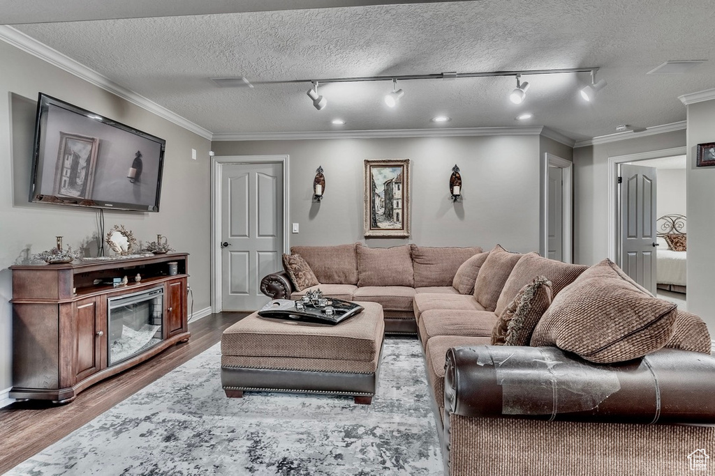 Living room featuring wood finished floors, crown molding, rail lighting, and a textured ceiling