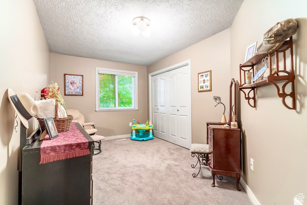Living area with a textured ceiling and carpet flooring