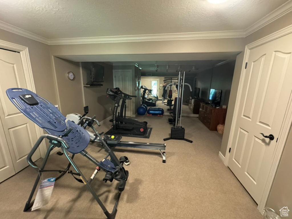 Workout area featuring crown molding, carpet floors, and a textured ceiling