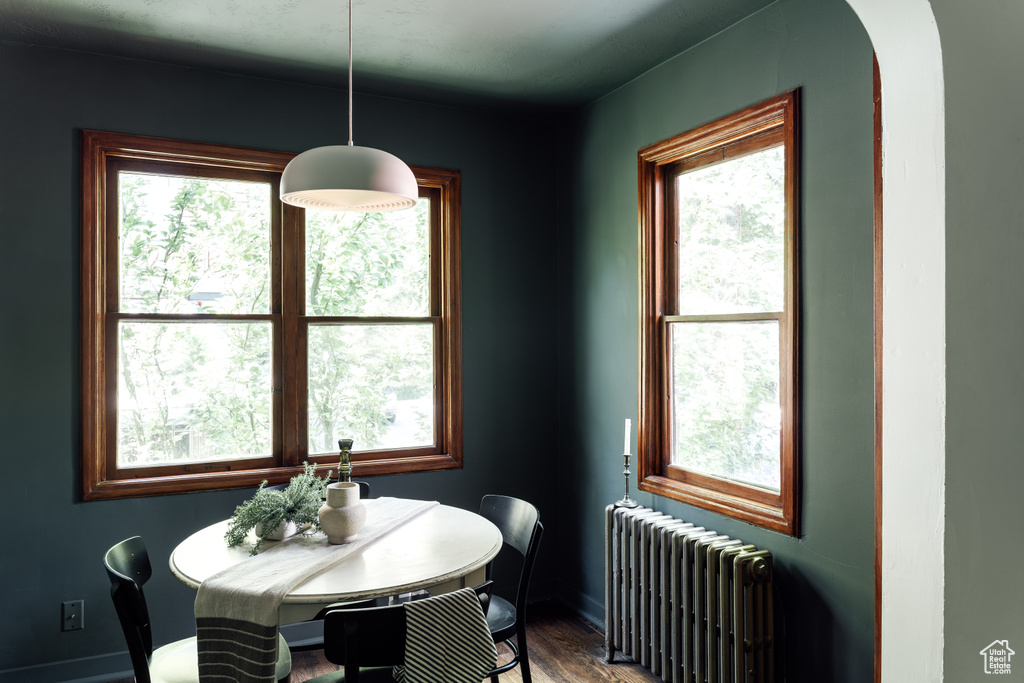 Dining space featuring radiator, plenty of natural light, and baseboards