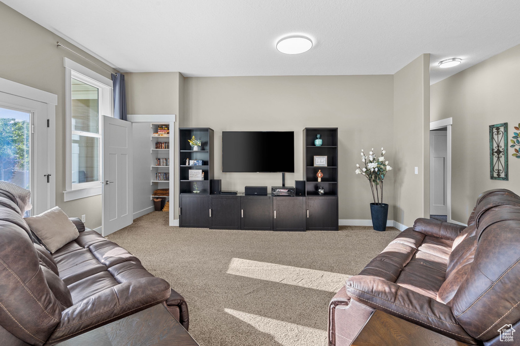 Living room featuring carpet floors and baseboards
