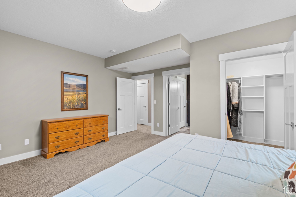 Bedroom with baseboards, carpet floors, a spacious closet, and a closet