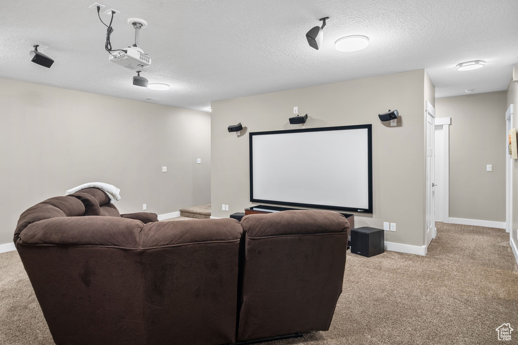Carpeted cinema with baseboards and a textured ceiling