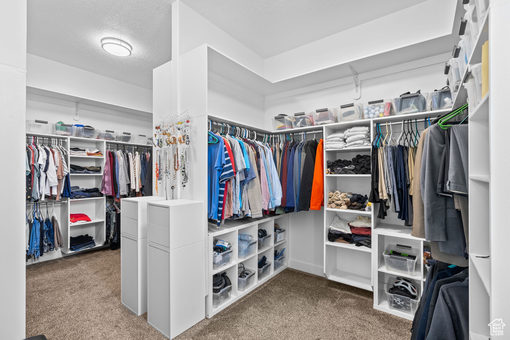 Spacious closet with carpet flooring