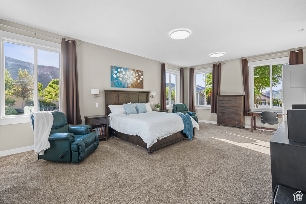Bedroom featuring carpet flooring, multiple windows, and baseboards