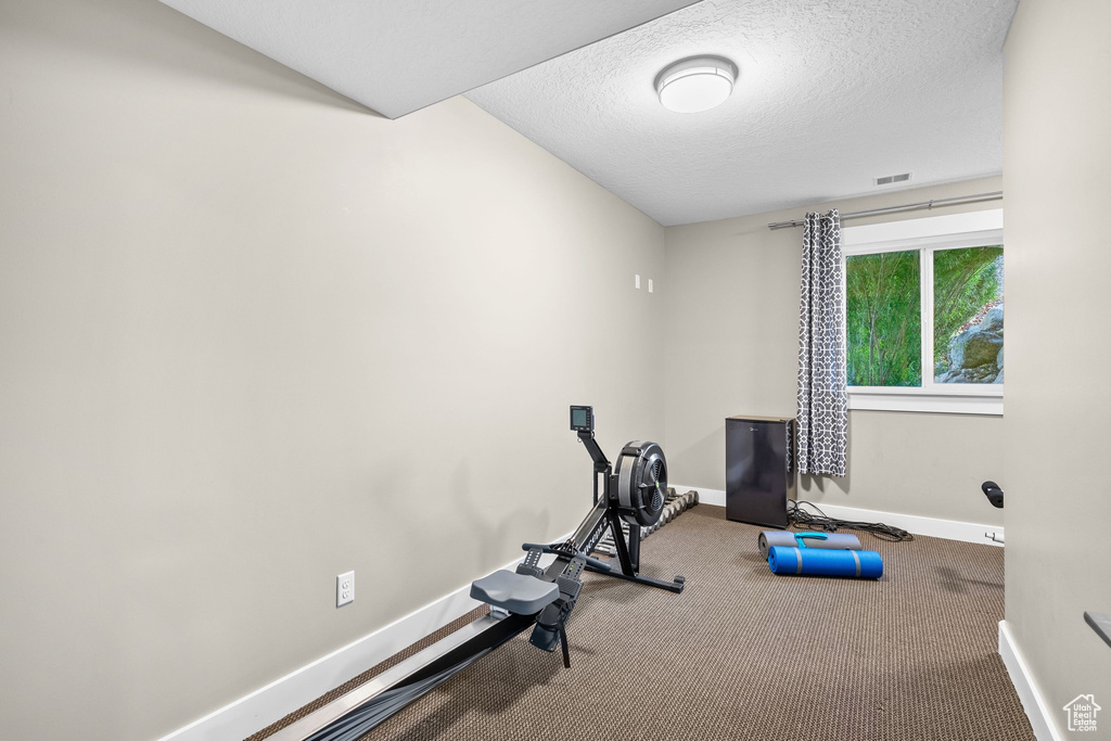 Workout room with baseboards, carpet, and a textured ceiling