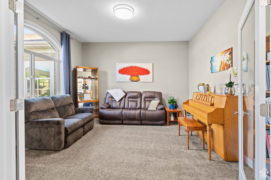 Carpeted living area with a textured ceiling