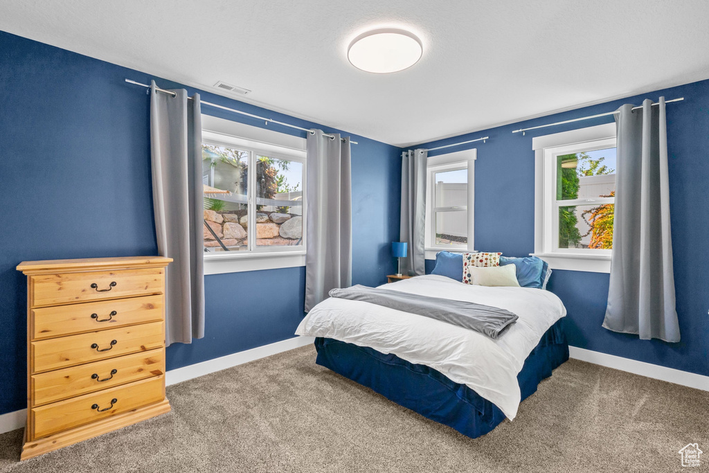 Bedroom featuring multiple windows, carpet floors, and baseboards