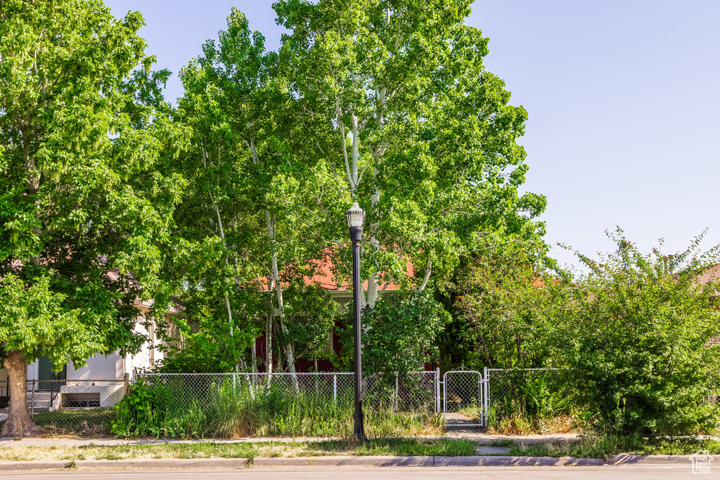 Fenced yard with a gate