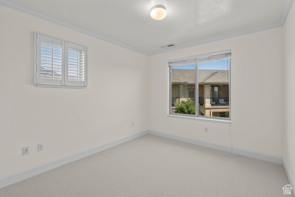 Spare room with carpet flooring, ornamental molding, and baseboards