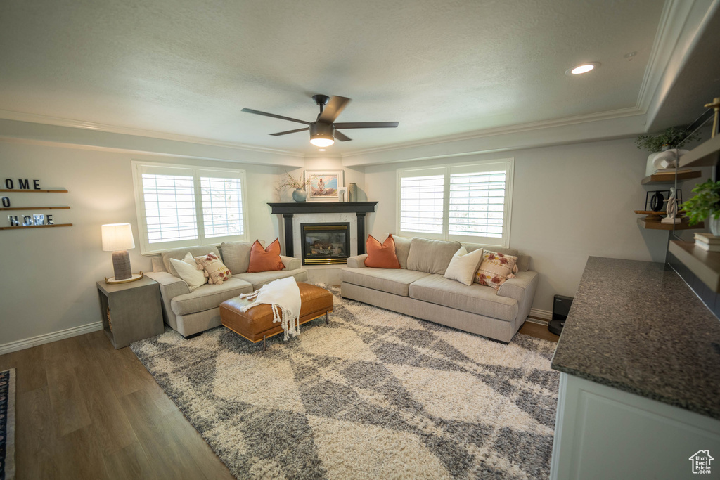 Living room featuring a ceiling fan, plenty of natural light, wood finished floors, a fireplace, and ornamental molding