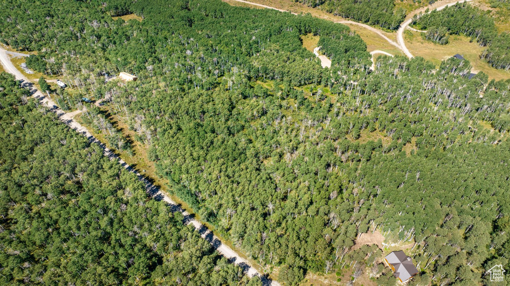 View of property location with a forest