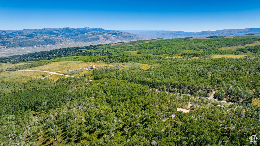 View of mountain background with a forest