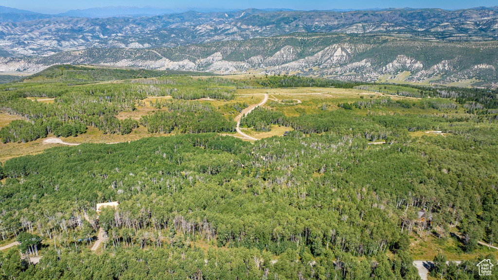 View of mountain background featuring a heavily wooded area