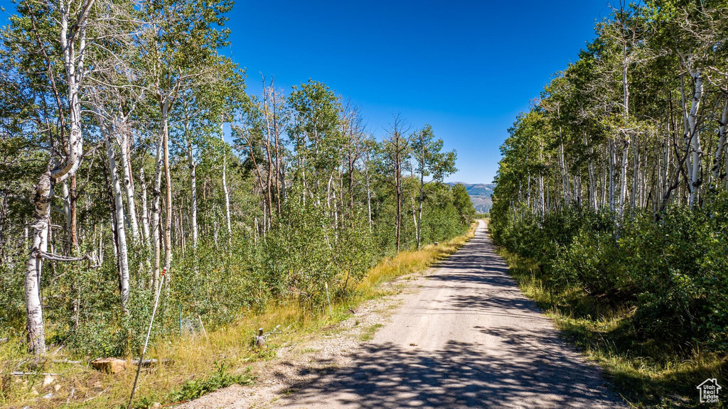 View of road