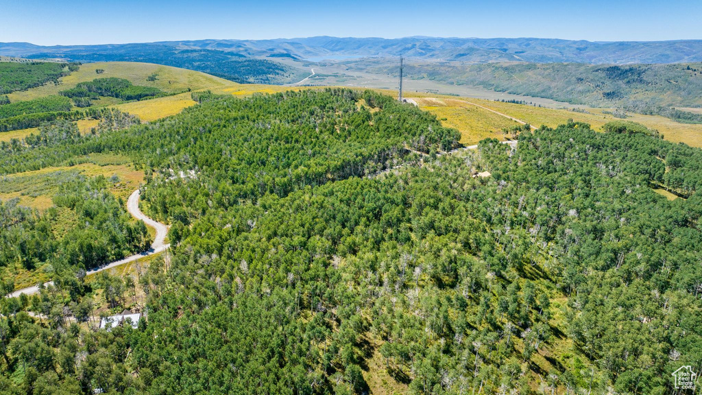 Drone / aerial view of a forest and a mountain backdrop