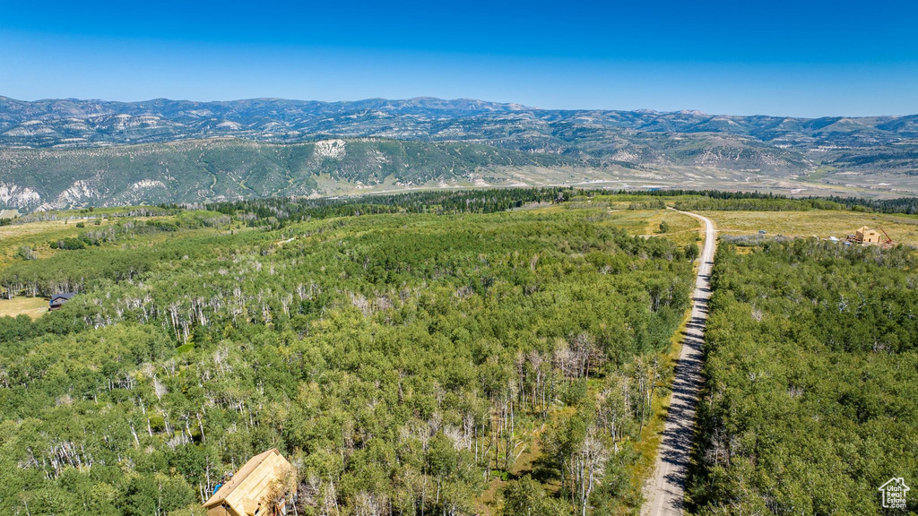View of mountain backdrop with a heavily wooded area