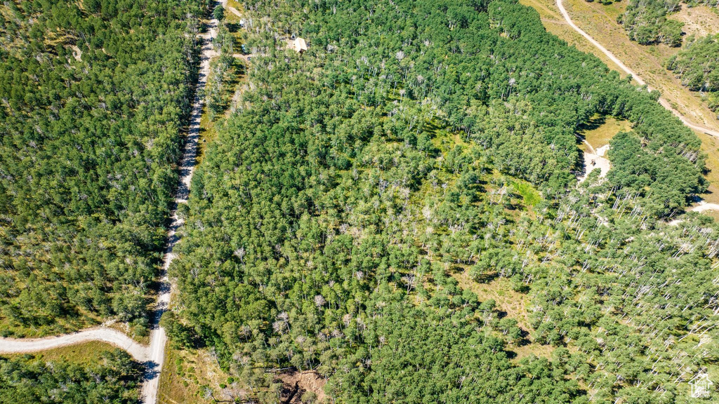 Aerial view of property's location featuring a heavily wooded area