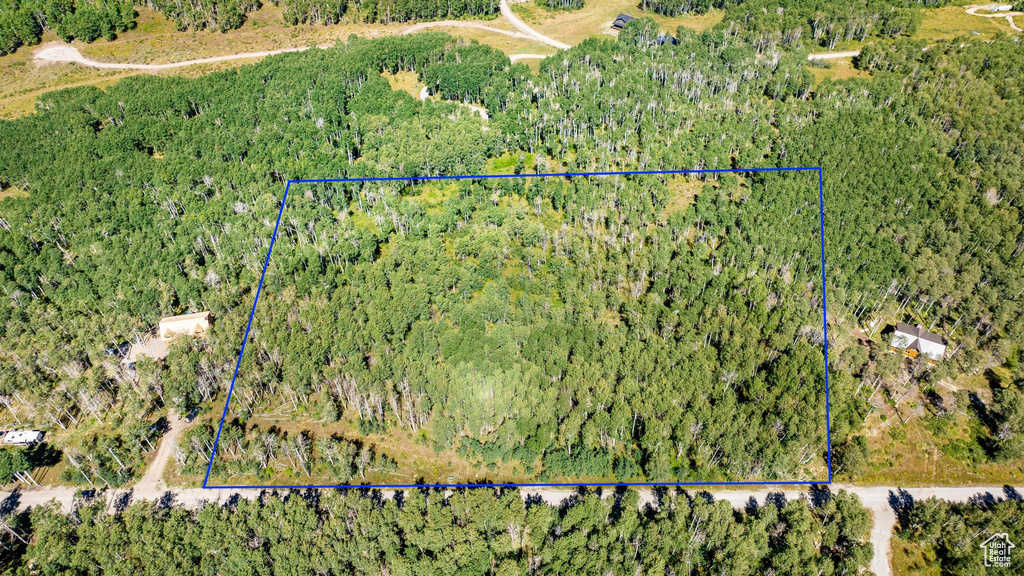 View of property location featuring a forest and property boundaries highlighted