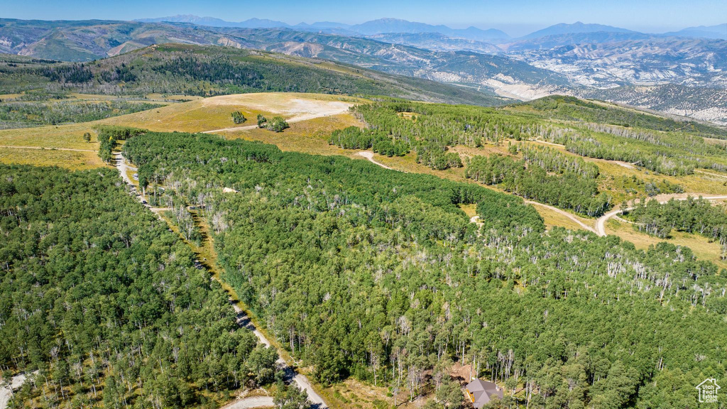 Aerial overview of property's location with a mountain backdrop and a heavily wooded area