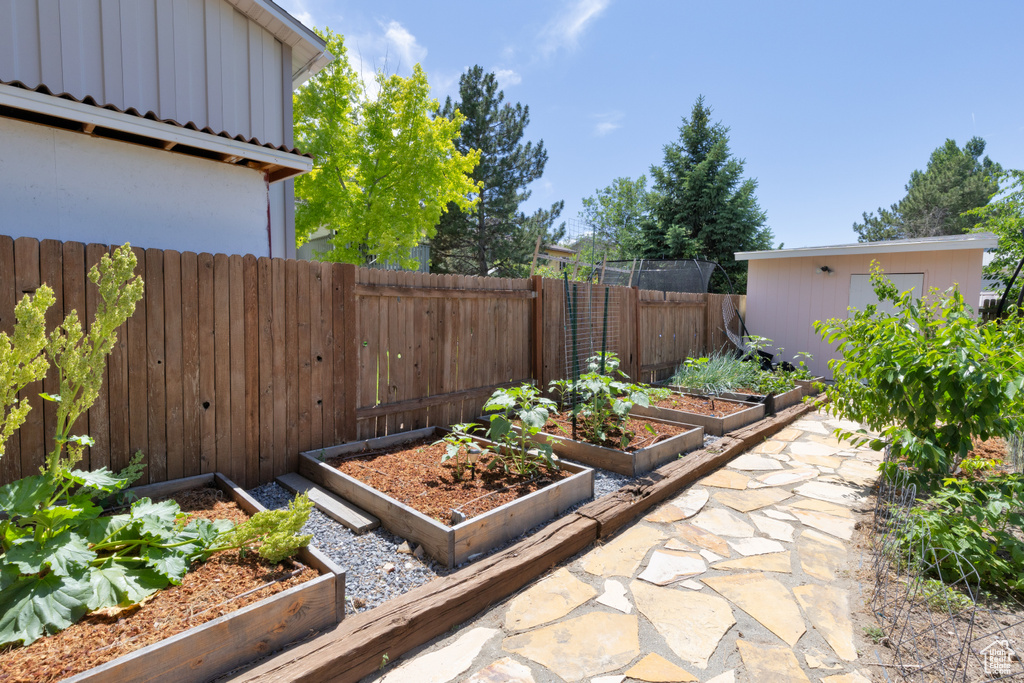 Fenced backyard with a vegetable garden