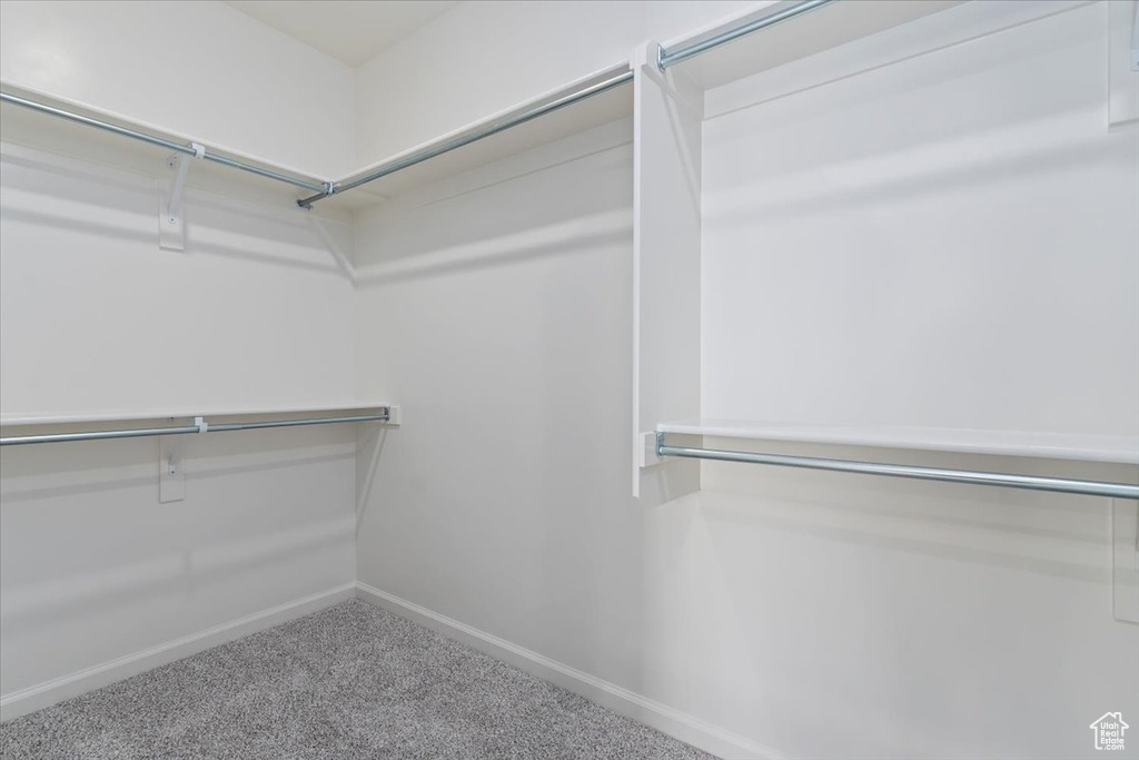 Walk in closet featuring carpet flooring