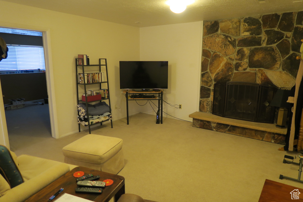 Living area featuring carpet floors