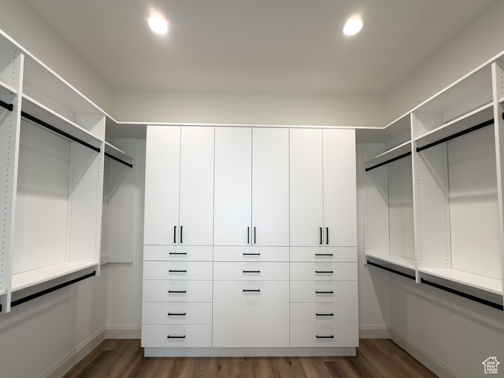 Walk in closet featuring wood finished floors