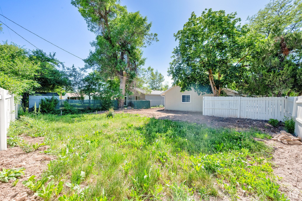 View of yard