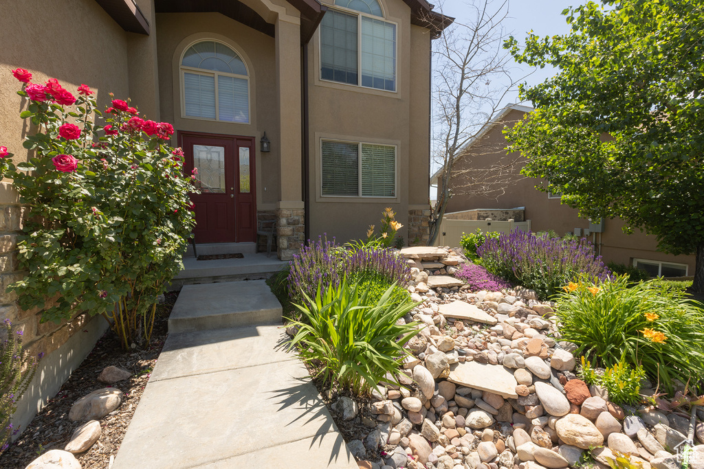 Property entrance with stucco siding and stone siding