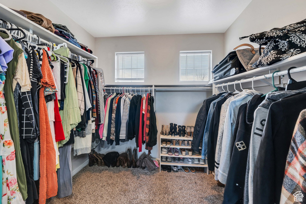 Spacious closet with carpet flooring