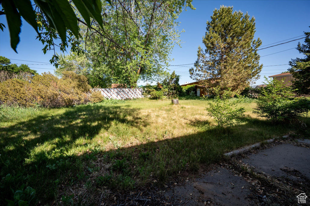 View of grassy yard
